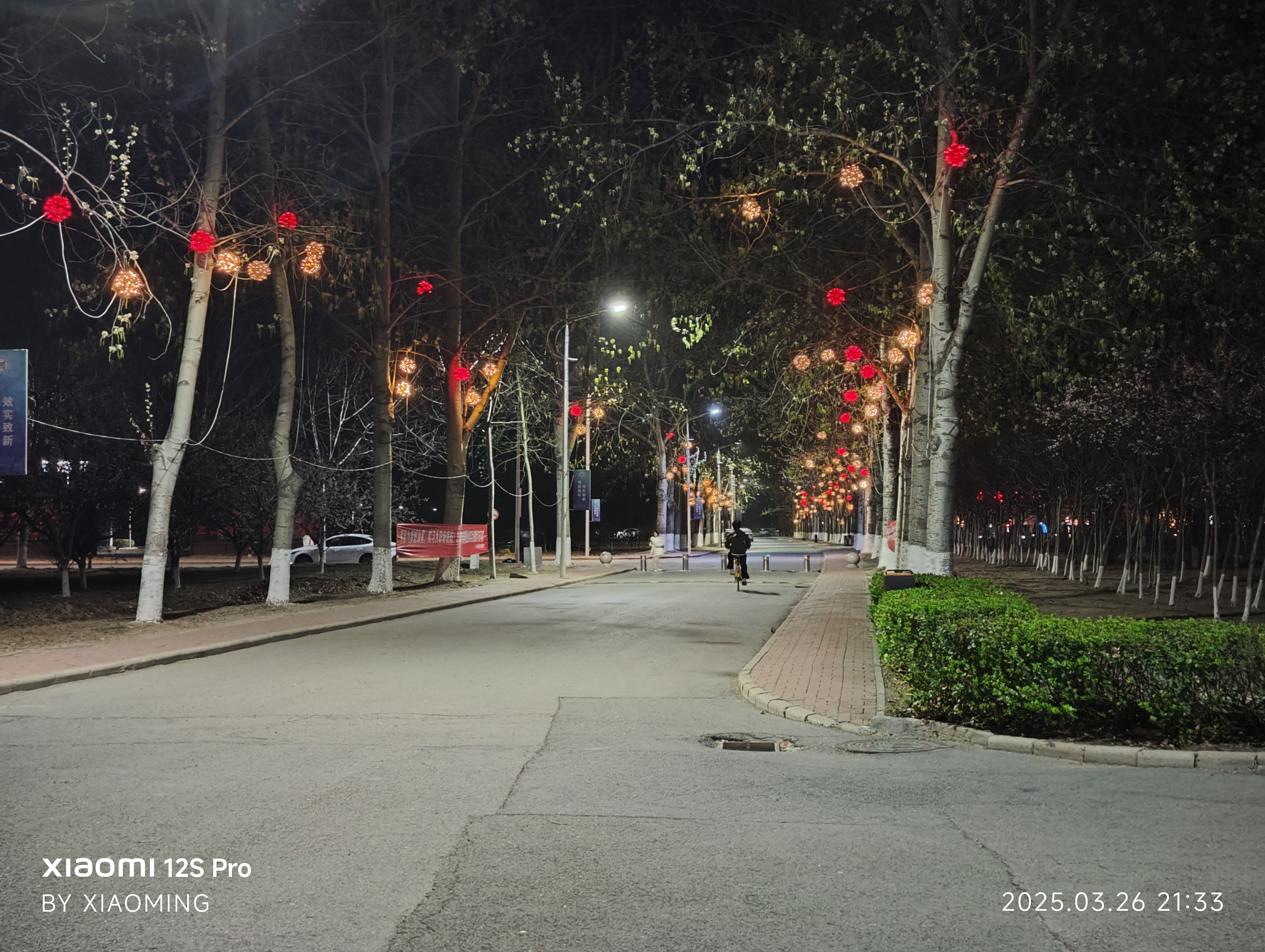 校园夜景